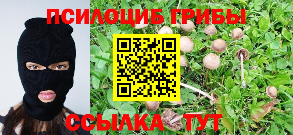 Псилоцибиновые грибы Magic Shrooms Унеча