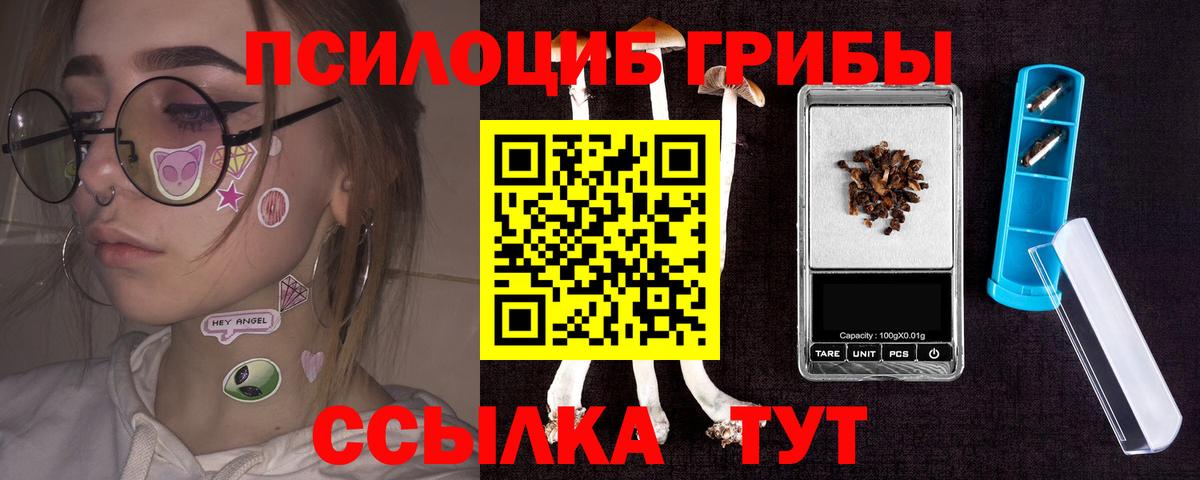 Псилоцибиновые грибы мухоморы  Вход с VPN  Унеча 